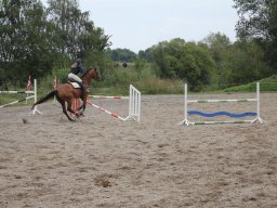img_9751_web